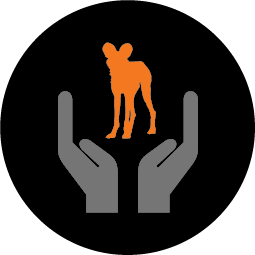 Icon of hands holding up wild dog