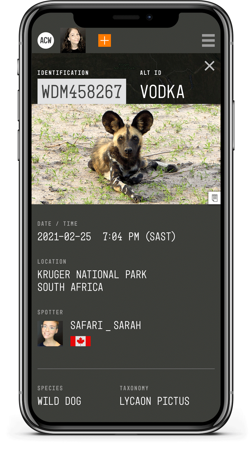 ACW product screenshot of wild dog profile on mobile phone